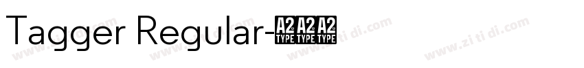 Tagger Regular字体转换 Tagger Regular字体转换